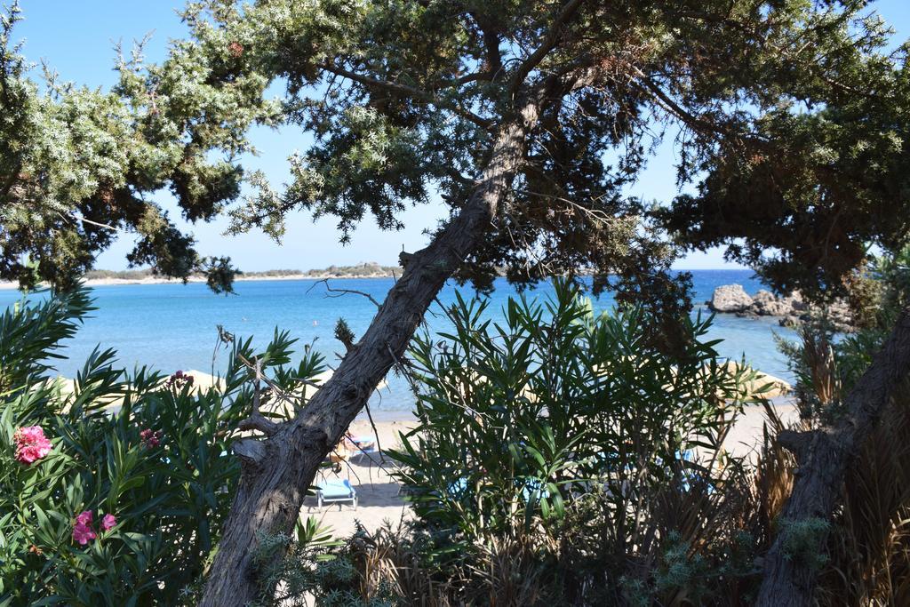 Ktima Grammeno Beachside Villa 팔라이오코라 외부 사진