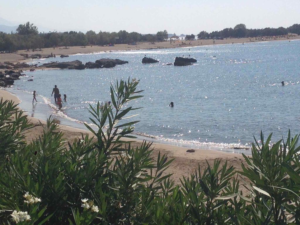 Ktima Grammeno Beachside Villa 팔라이오코라 외부 사진